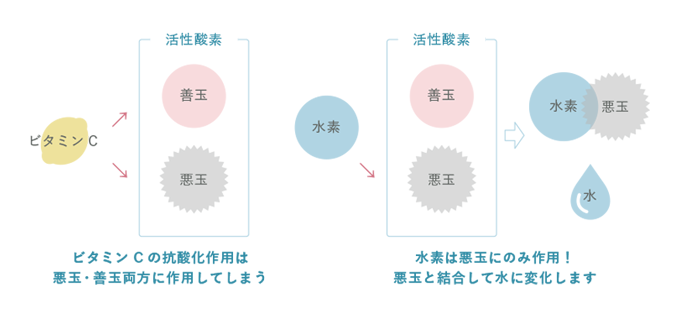 ビタミンCの抗酸化作用と水素の抗酸化作用の説明図