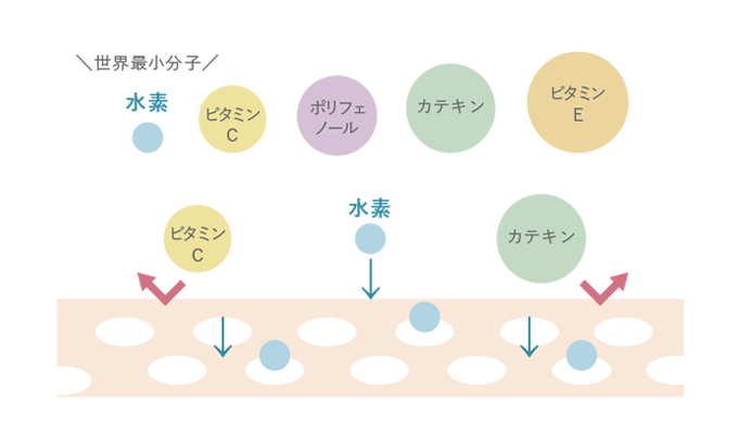 水素分子と他成分の浸透の図