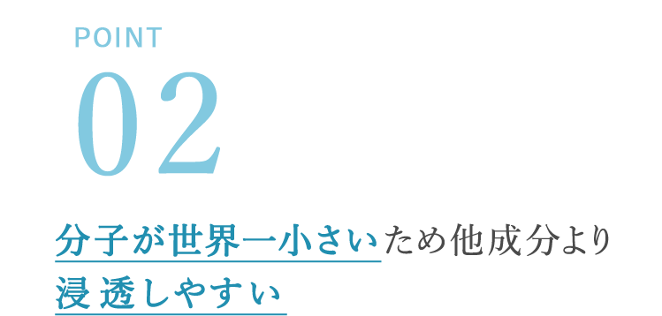 POINT02 分子が世界一小さいため他成分より浸透しやすい