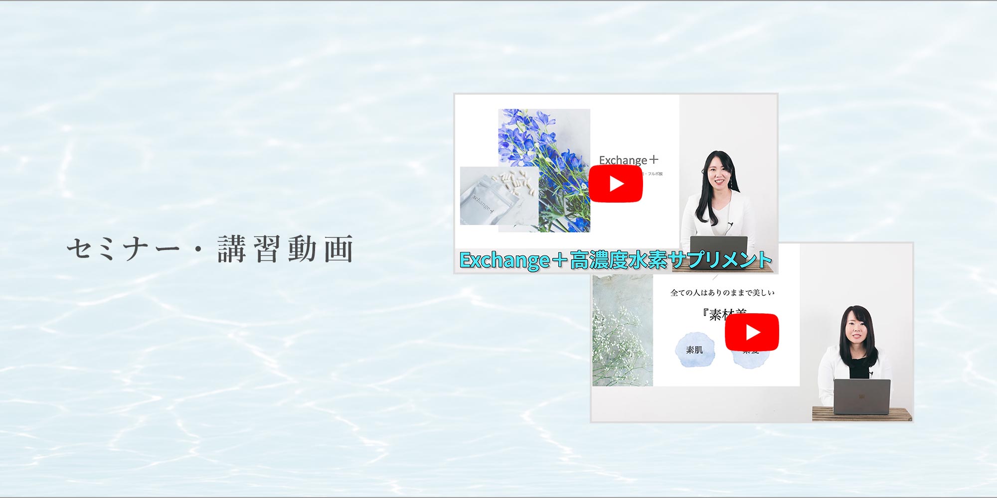 セミナー・講習動画