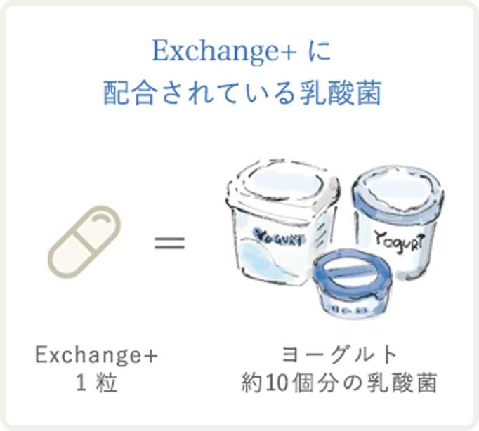 Exchange+に配合されている乳酸菌